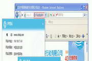 网站查验助手
