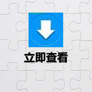 NetPerSec网速测试软件