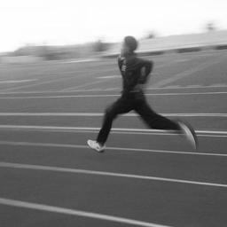 FlyBlog