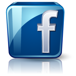 NetStat Agent